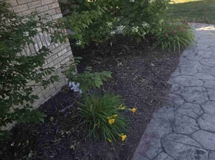 Weeding by Renee Strait for Deanna A. in Macomb, MI