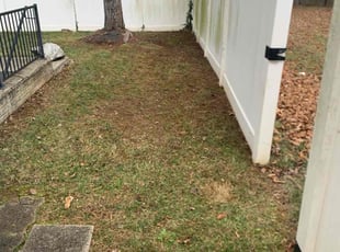 Leaf Removal by Tyler Isaacs for Carlton A. in Springdale, MD