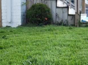 Cleanups by Christensen Ransom for Terry T. in Columbus, OH