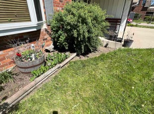 Weeding by Roberto Rojas for Cheryl D. in Cudahy, WI