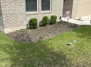 Bush Trimming by Josue Perez Rios for Daniel E. in Hutto, TX