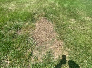 Aeration by Nelson Guerrero for Wilburn S. in Elmwood Park, NJ