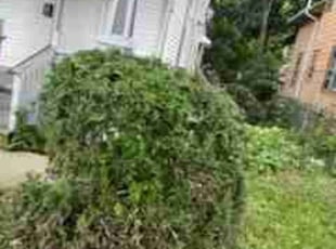 Bush Trimming by Jerome Glenn for Dorothy N. in Milwaukee, WI