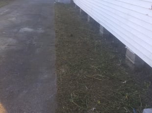 Cleanups by Jaymie Lewis for Anthony K. in Marrero, LA