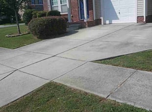 Bush Trimming by Depree Hart for Terrance W. in Rock Hill, SC