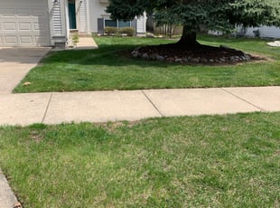 Leaf Removal by Ryan Cooper for Ashton B. in Kentwood, MI