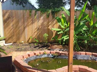 Weeding by Merlin Livings for Christopher v. in Lafayette, LA