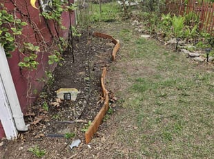 Leaf Removal by Frederick Griner for Sharon S. in Toledo, OH