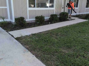 Bush Trimming by Jr Valle for Jackson P. in Palm Coast, FL