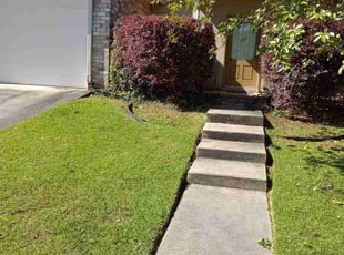 Bush Trimming by Gregory Lewis for Audrey C. in Baton Rouge, LA