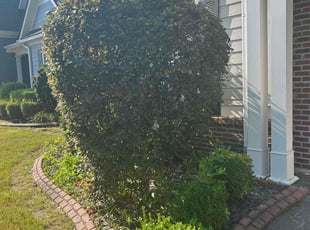 Bush Trimming by Carrissa Sherman for Lifeng T. in Peachtree City, GA