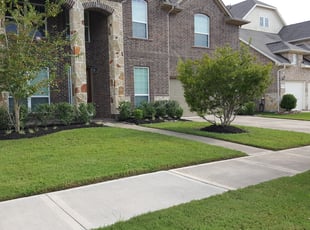 Weeding by Leopoldo Cardoso for Cody C. in Sugar Land, TX