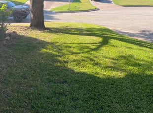 Marci G.'s Lawn Mowing service result