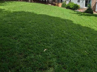 Patricia P.'s Lawn Mowing Service service result