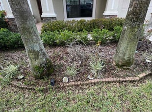 Weeding by Carma Jones for Chelsea T. in Tampa, FL