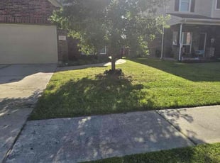 Michael A.'s Lawn Mowing service result