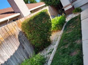 Bush Trimming by Juan Rodriguez for Ursula B. in Folsom, CA