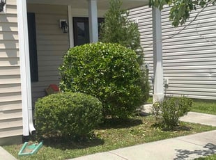 Bush Trimming by Napolian Britt for Chad S. in Concord, NC