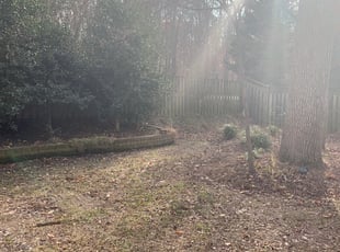 Leaf Removal by Noah Lee Davidson III for Pat S. in Alexandria, VA