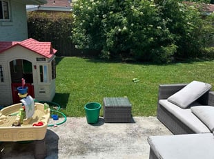 Nadine P.'s Lawn Care service result