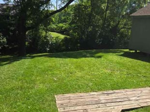 Madeline H.'s Lawn Mowing service result