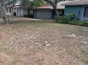 Leaf Removal by Ladarius Lathan for Matthew B. in Winter Springs, FL