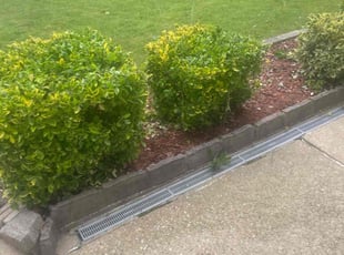 Bush Trimming by Nicholas Harter for Jay E. in Virginia Beach, VA