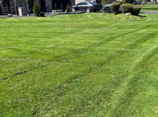 Ann G.'s Lawn Service service result