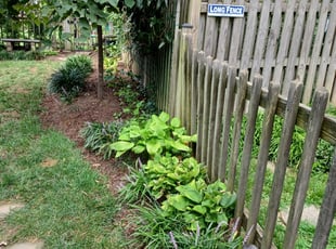 Weeding by Jose Paz for Michael S. in Arlington, VA