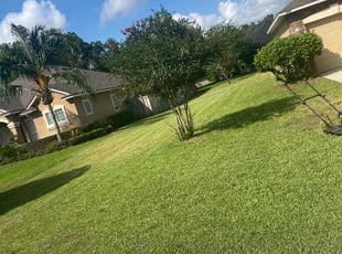Diane H.'s Lawn Service service result