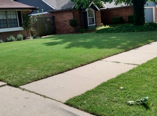 Evelyne N.'s Lawn Mowing service result