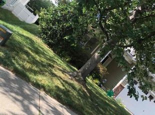 Landscaping by Brandon Medlin for Jason A. in Raleigh, NC