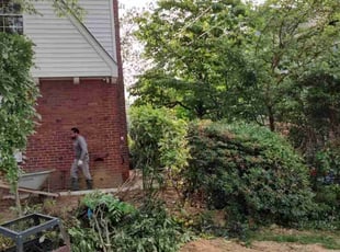 Bush Trimming by Allan Roberts for Chien-Liang F. in Arlington, VA