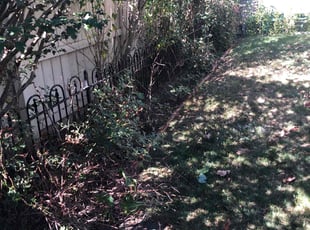 Weeding by Stephen Reynolds for Christopher R. in Dayton, OH