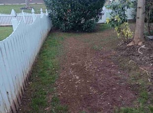 Leaf Removal by Timothy Newman for Dan T. in Raleigh, NC