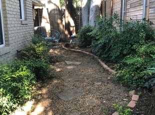 Leaf Removal by Adriana Ramirez for Deborah H. in Dallas, TX