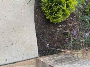 Weeding by Mitchell Kendall for Chris D. in Huntsville, AL