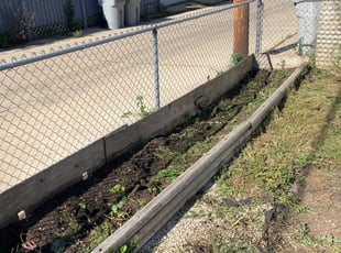 Weeding by Samuel Taylor for Anjelica F. in Milwaukee, WI