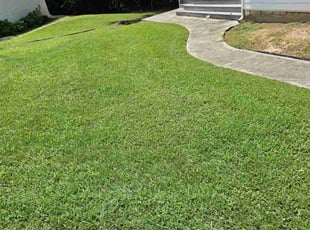 Katie F.'s Yard Cutting service result