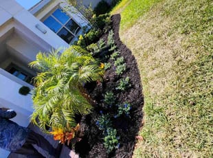 Landscaping by Rolando Mojica Betancourt for Grant H. in St. Cloud, FL