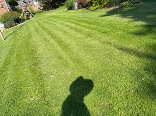 Matt H.'s Lawn Maintenance service result
