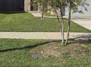Michael Y.'s Lawn Service service result