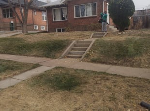 Leaf Removal by Mario Gonzales for Zy N. in Denver, CO