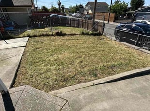 Gena A.'s Lawn Service service result