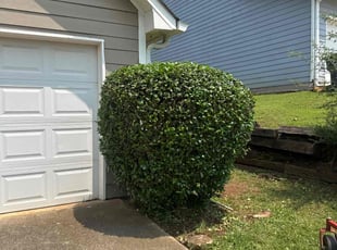 Bush Trimming by Fidel Umanzor for Thang L. in Lawrenceville, GA