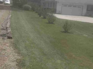 Brad H.'s Lawn Service service result