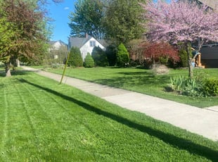 Rene G.'s Lawn Service service result