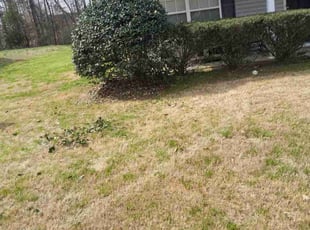 Bush Trimming by Tim Hargett for Corey b. in Charlotte, NC