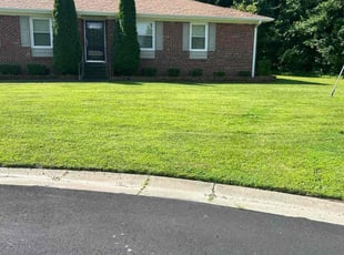 Blythe M.'s Lawn Mowing service result