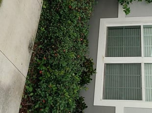 Landscaping by Susan Sanbower for Shane M. in Haines City, FL